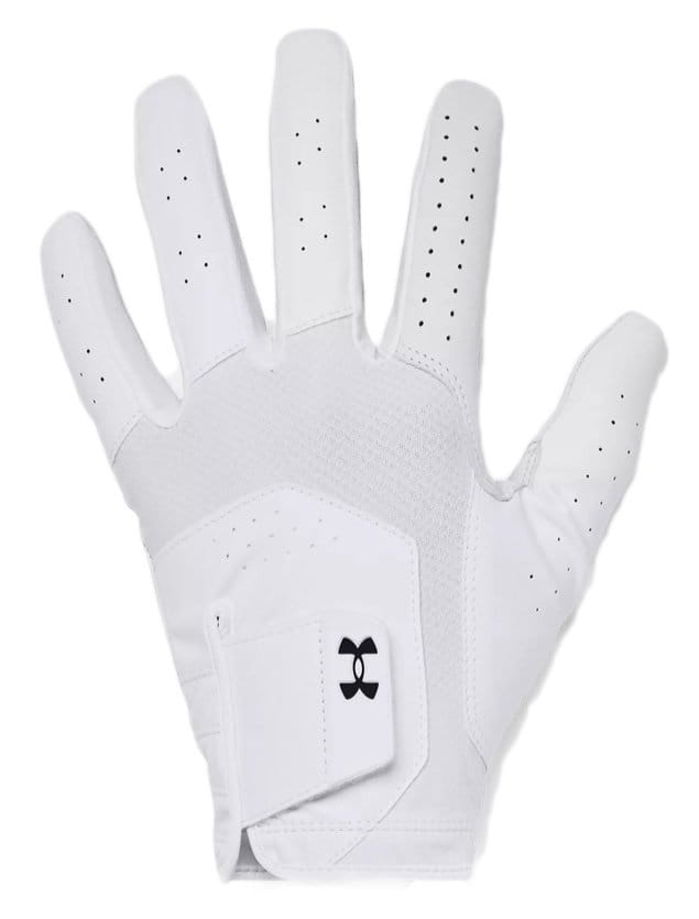 Gloves Under Armour UA Iso-Chill Golf Glove